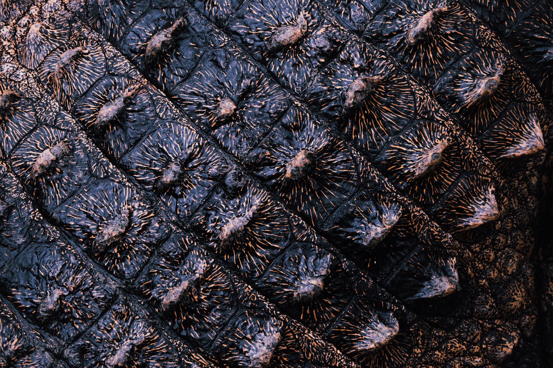 Exotic Leather fabric texture